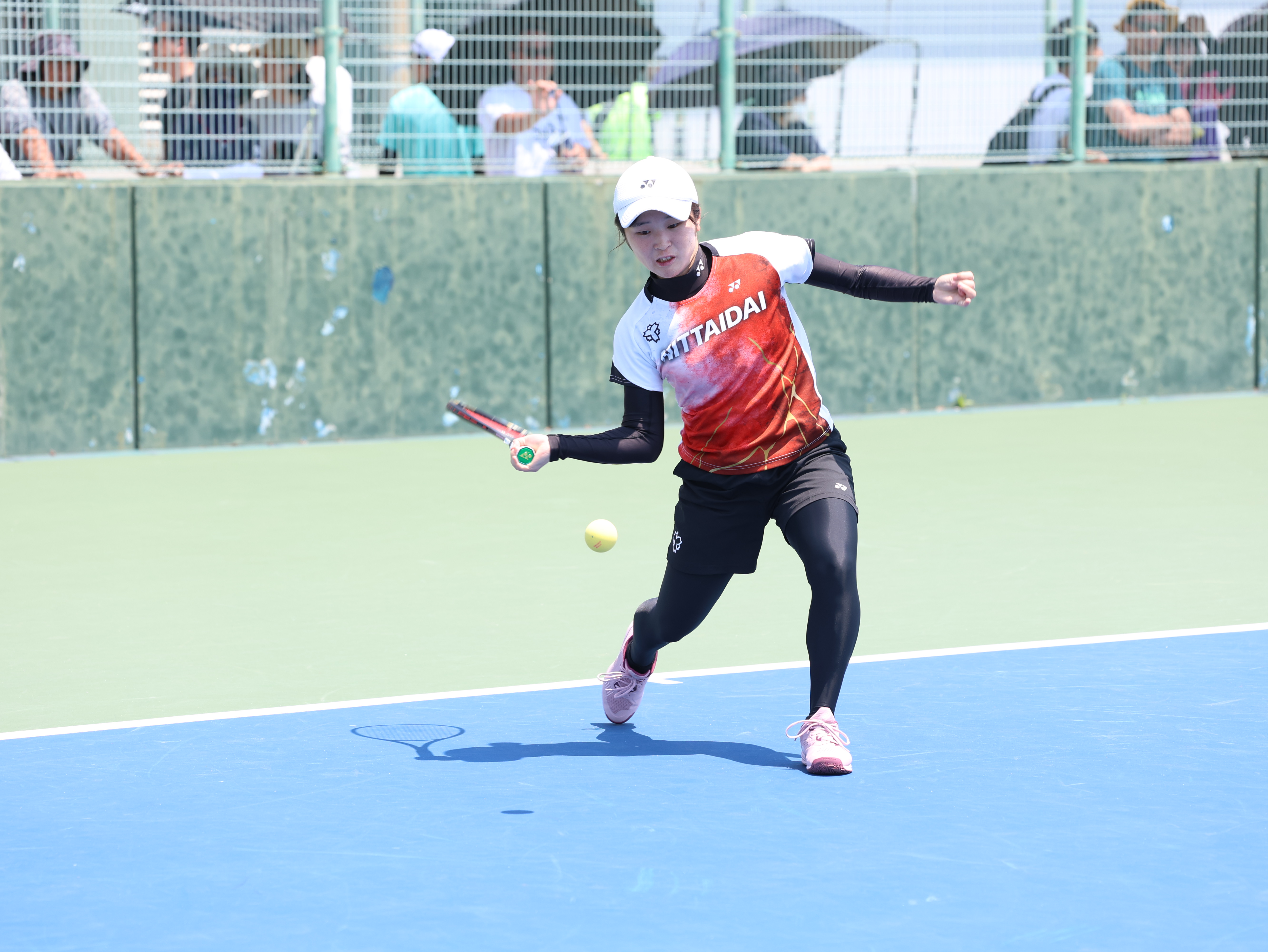 第33回 全日本シングルス選手権大会