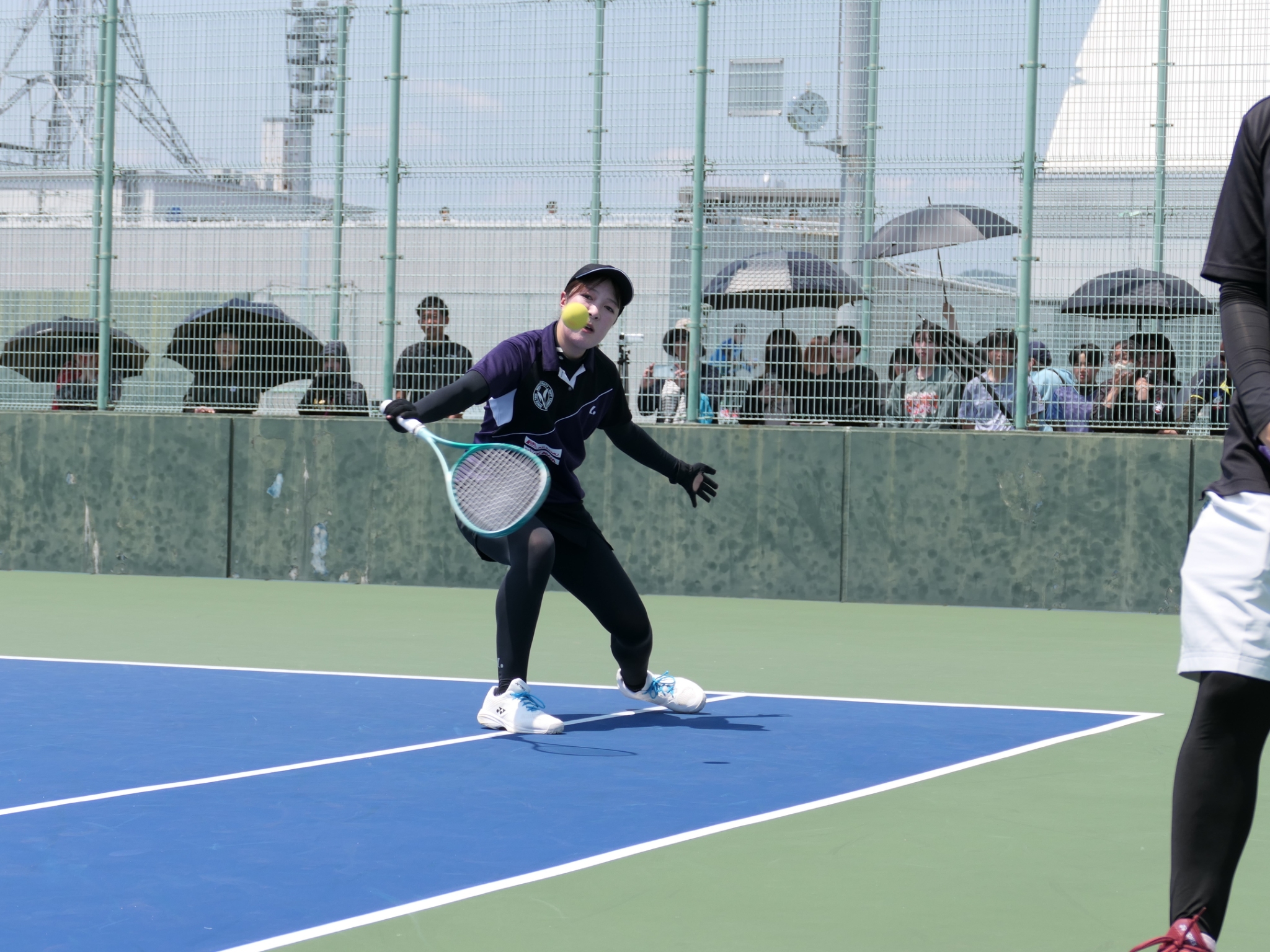 第33回 全日本シングルス選手権大会