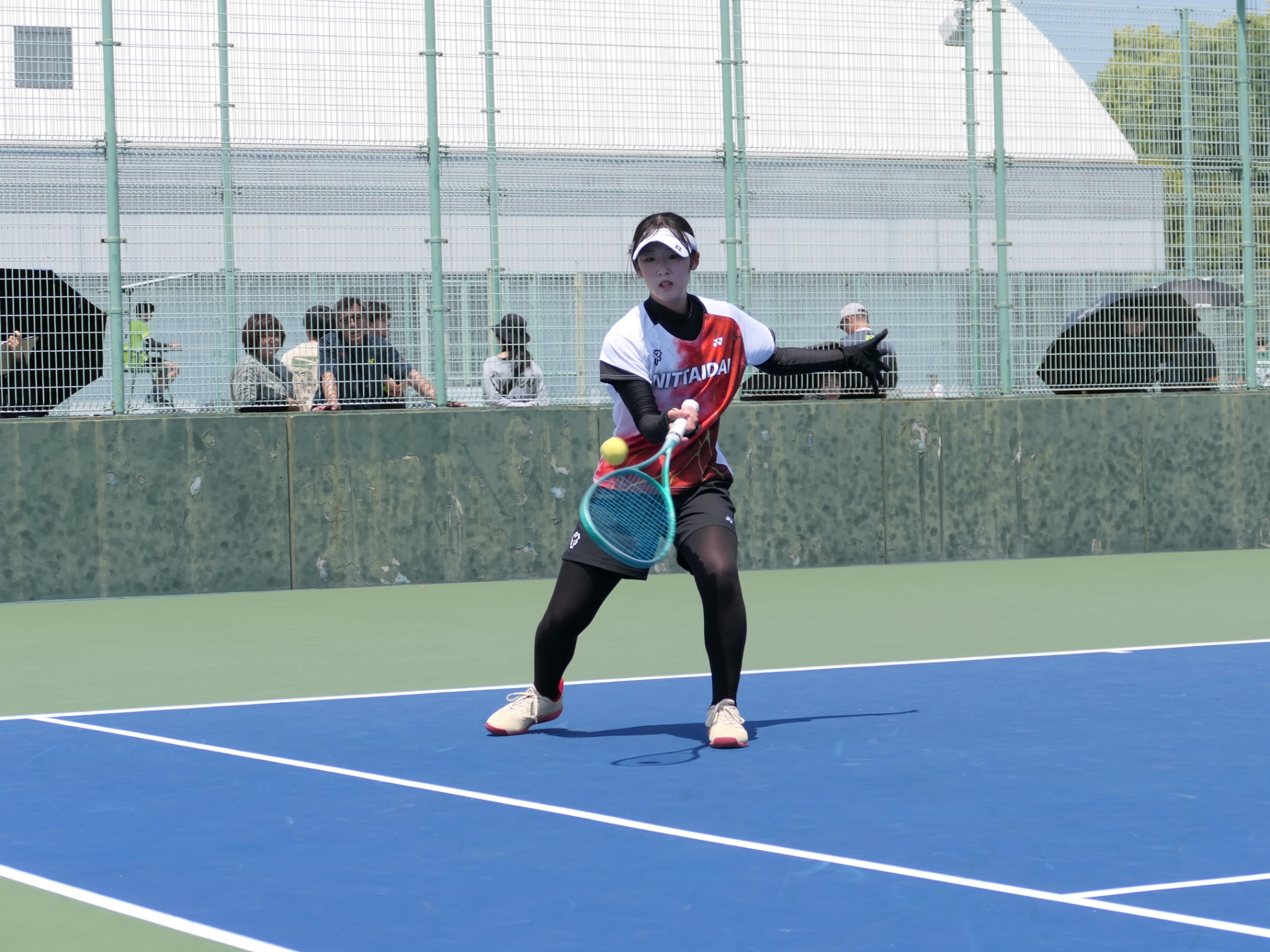 第33回 全日本シングルス選手権大会