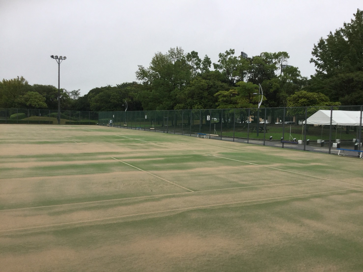 第22回 全日本シニア選手権大会