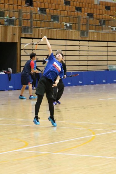 日本リーグ入替戦