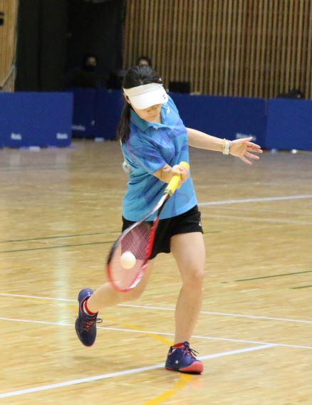 日本リーグ入替戦