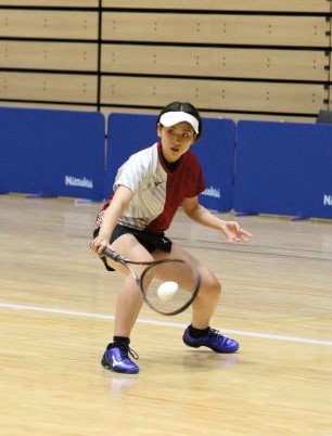 日本リーグ入替戦