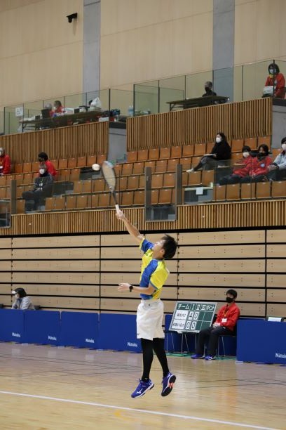 日本リーグ入替戦
