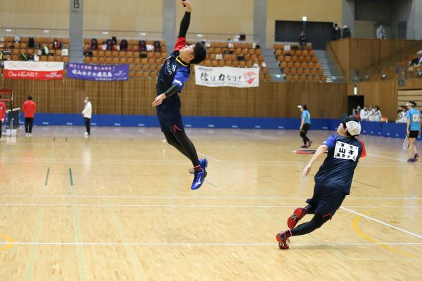 日本リーグ入替戦