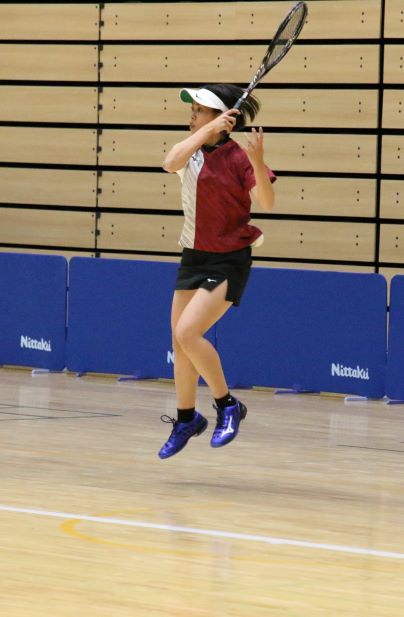 日本リーグ入替戦