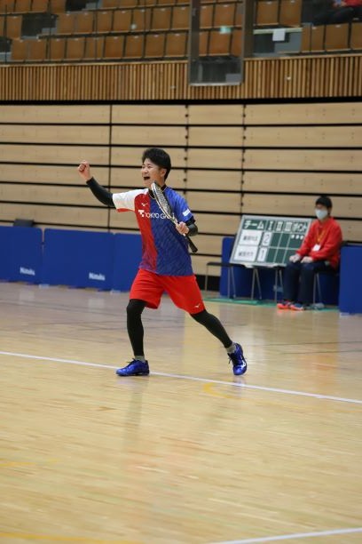 日本リーグ入替戦