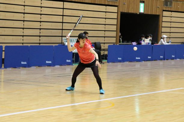 日本リーグ入替戦