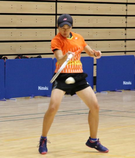 日本リーグ入替戦