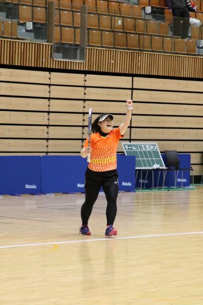 日本リーグ入替戦