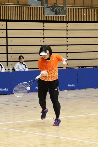 日本リーグ入替戦