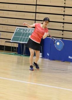 日本リーグ入替戦
