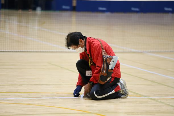 日本リーグ入替戦