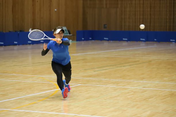 日本リーグ入替戦