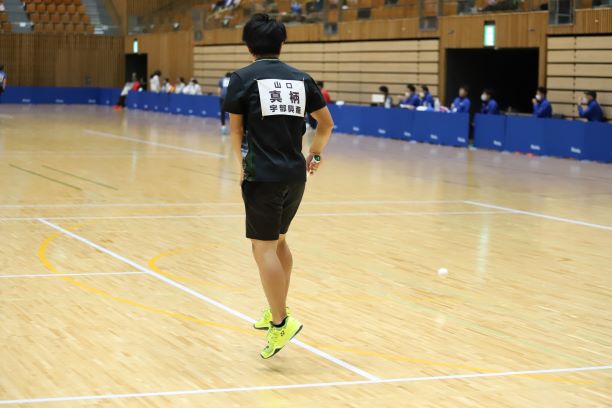 日本リーグ入替戦