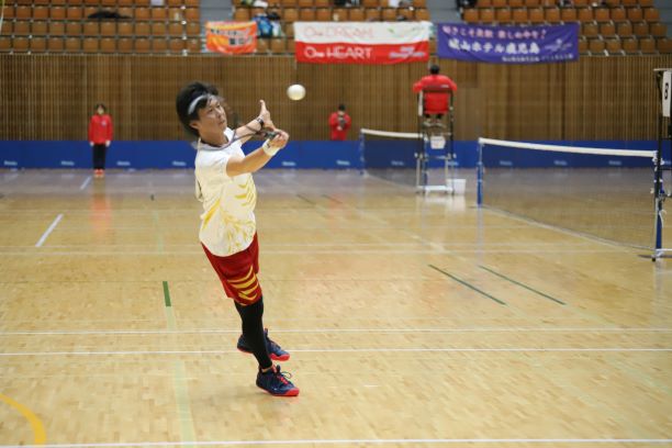 日本リーグ入替戦
