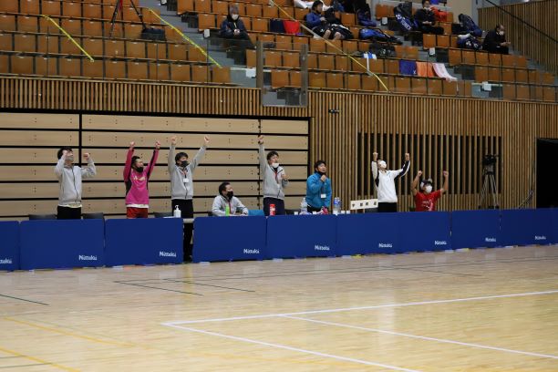 日本リーグ入替戦