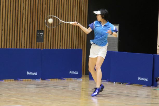 日本リーグ入替戦