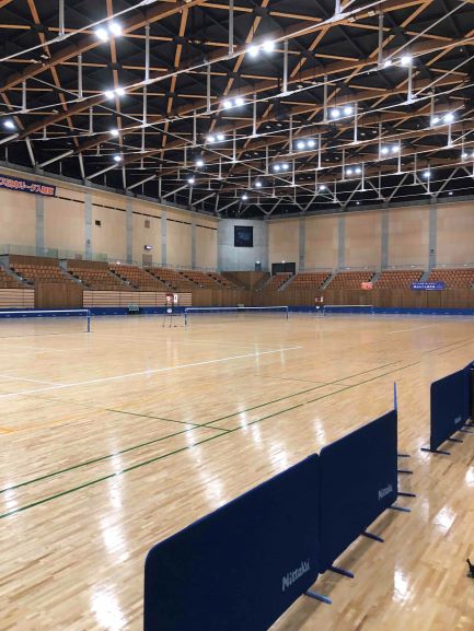 日本リーグ入替戦