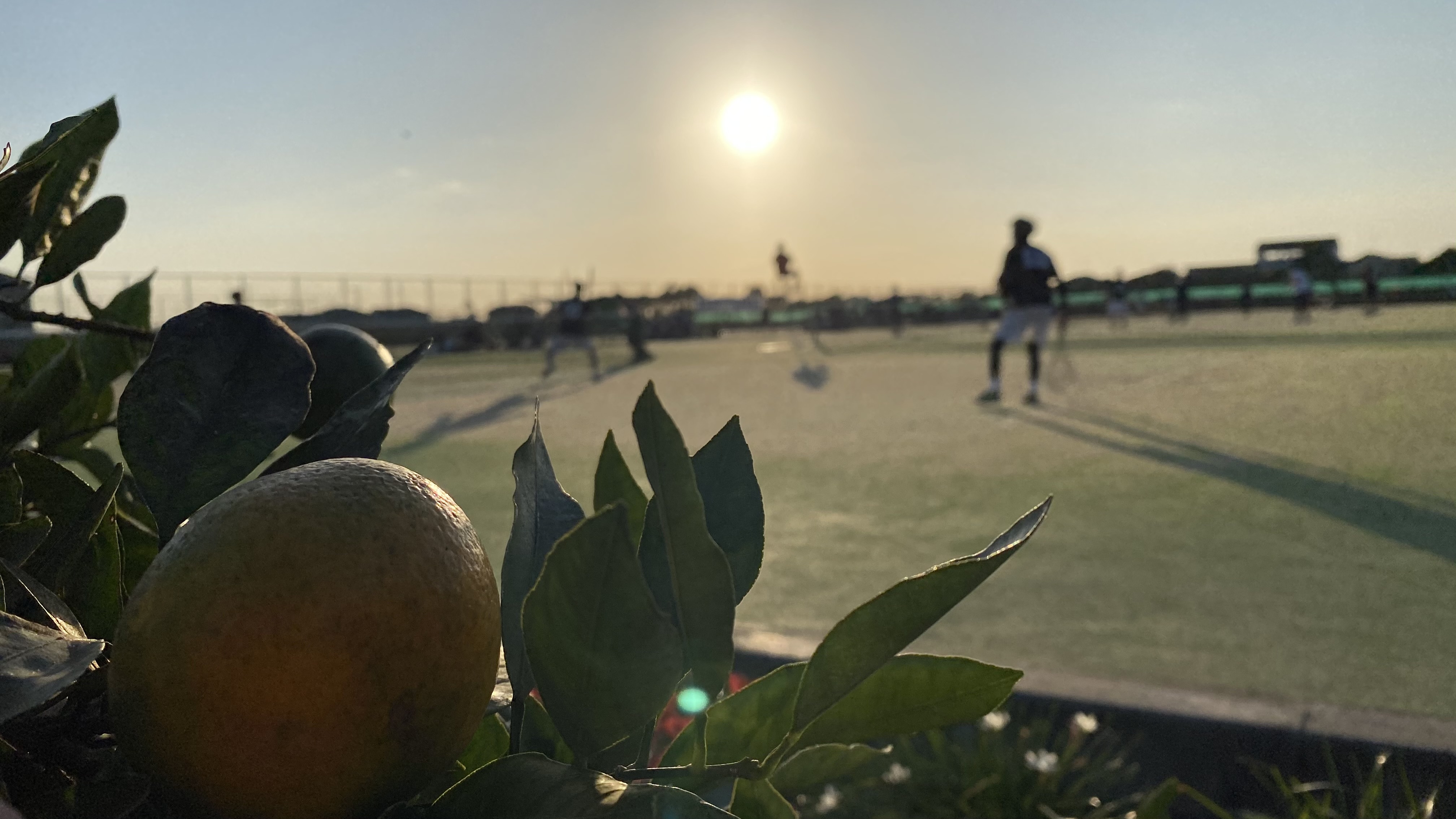 第27回 全日本クラブ選手権大会