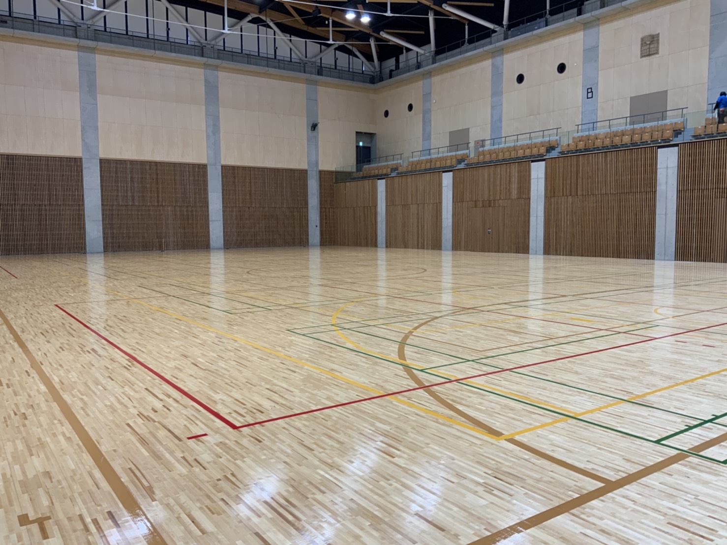 日本リーグ入替戦