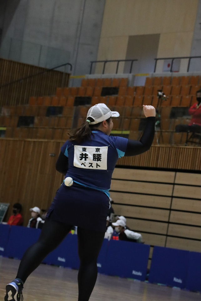 日本リーグ入替戦