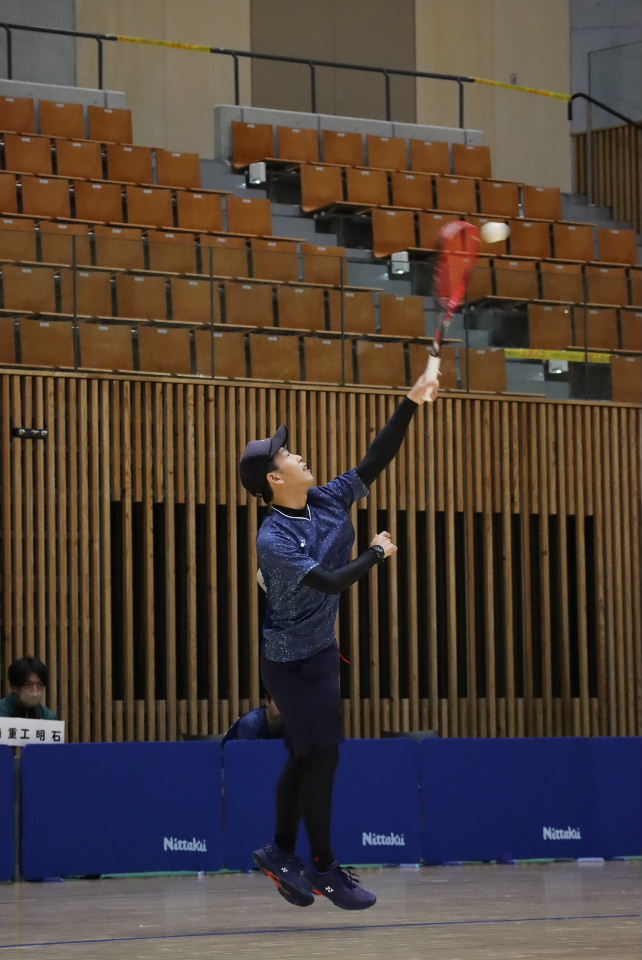 日本リーグ入替戦