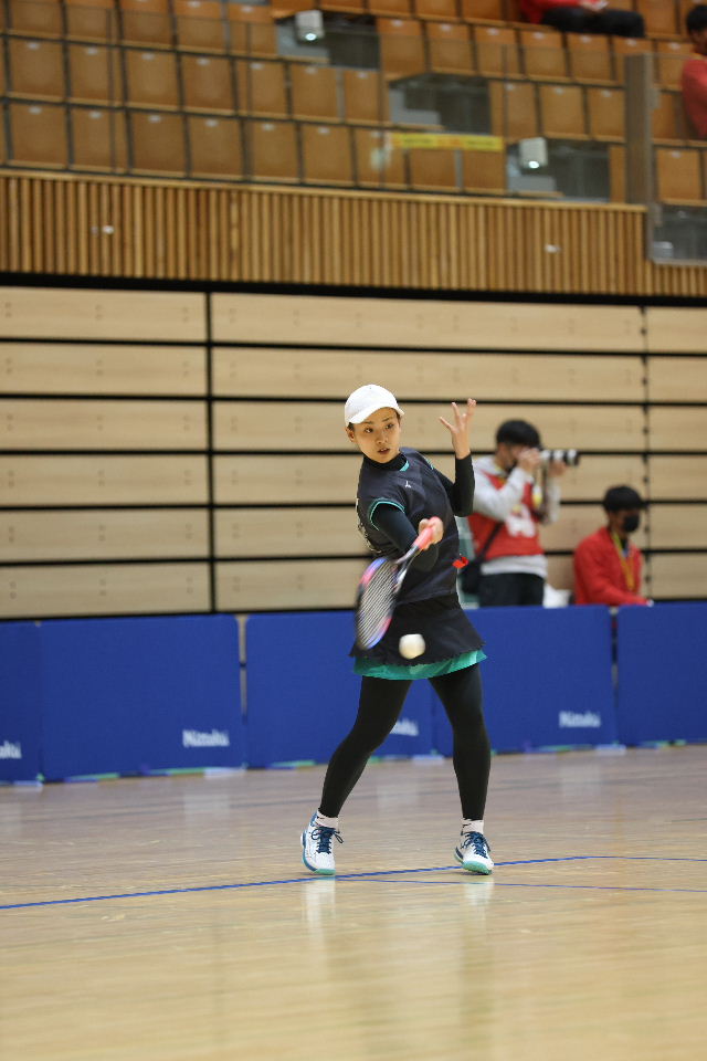 日本リーグ入替戦