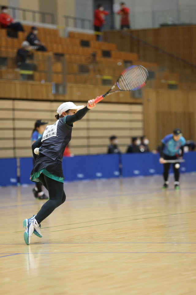 日本リーグ入替戦