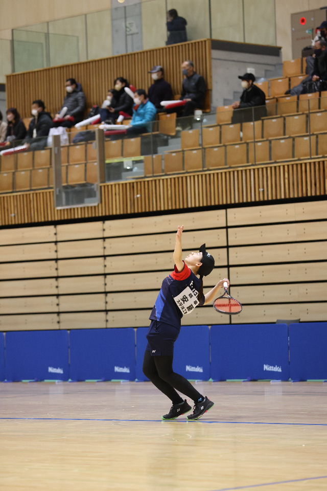 日本リーグ入替戦