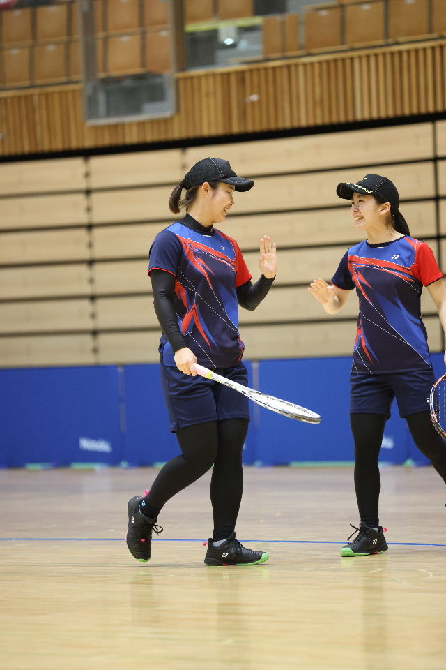 日本リーグ入替戦