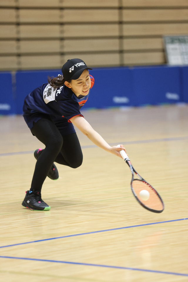 日本リーグ入替戦