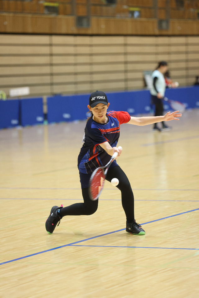 日本リーグ入替戦