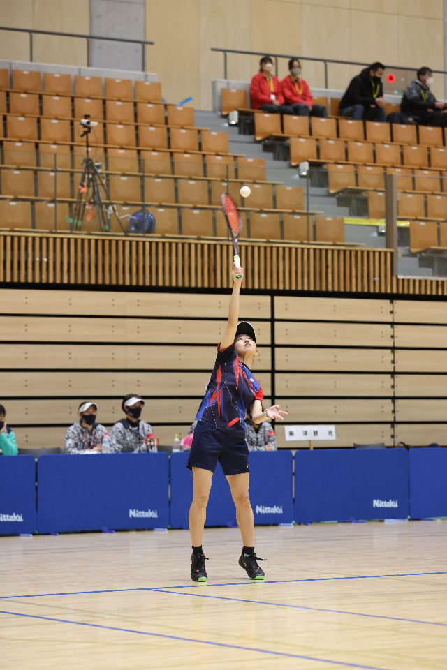 日本リーグ入替戦