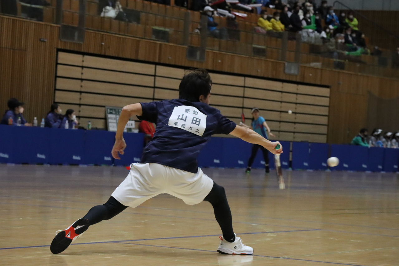 日本リーグ入替戦
