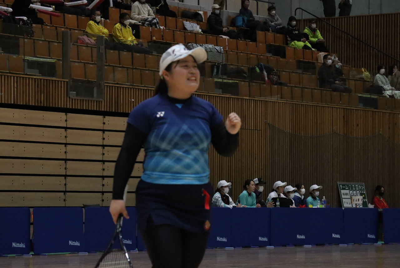 日本リーグ入替戦