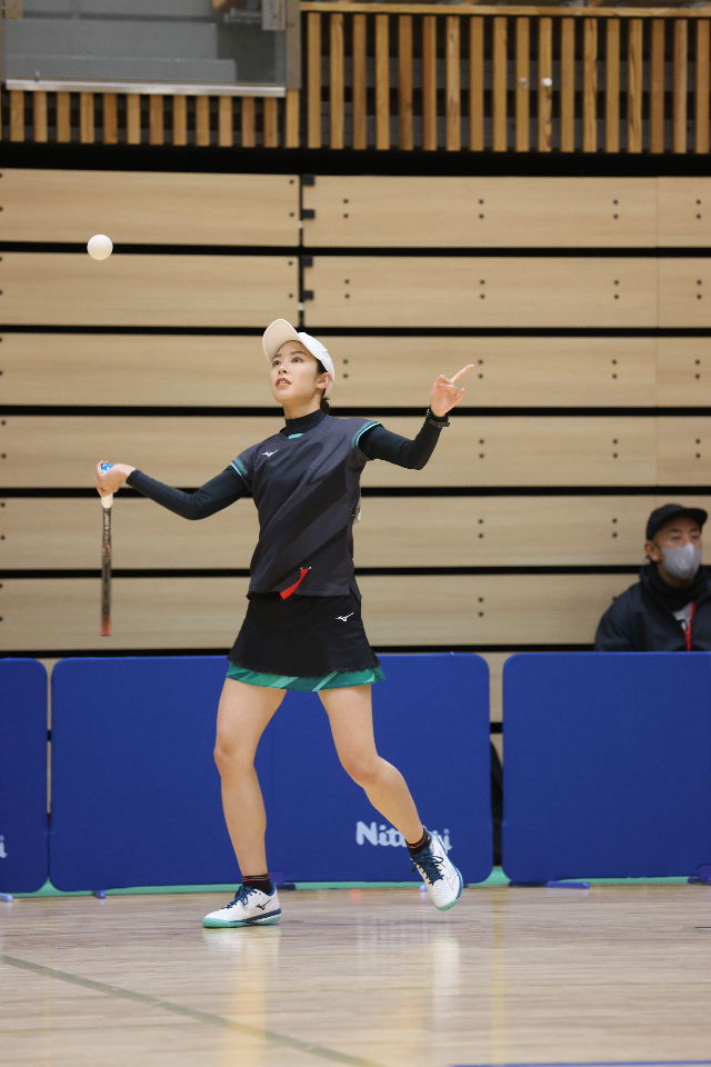 日本リーグ入替戦