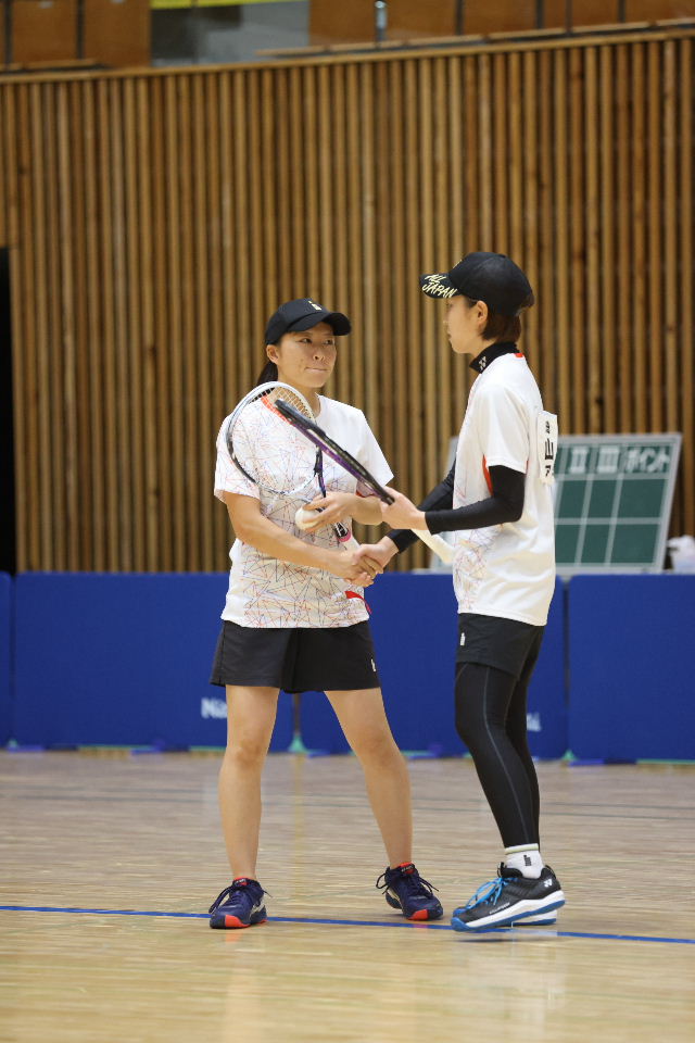 日本リーグ入替戦