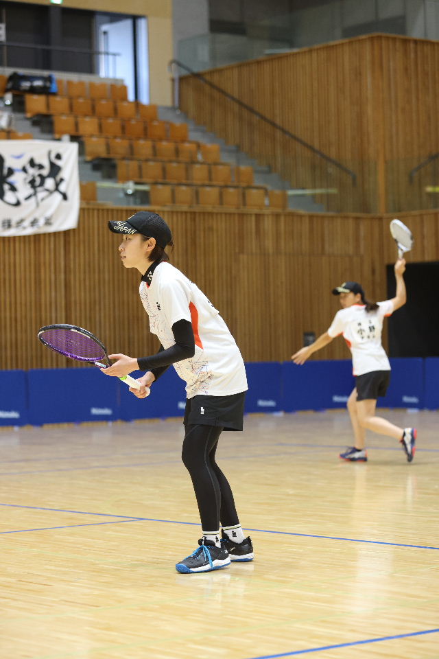 日本リーグ入替戦