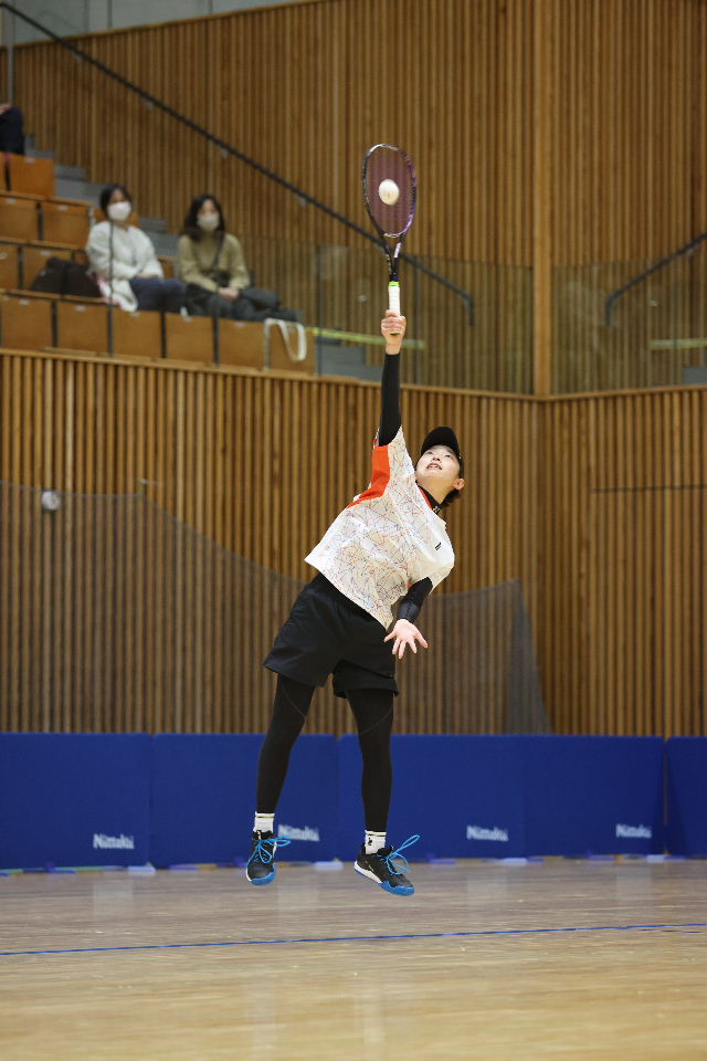 日本リーグ入替戦