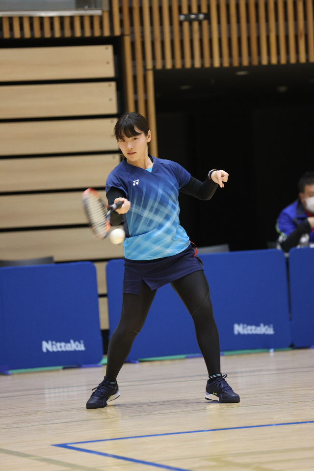 日本リーグ入替戦