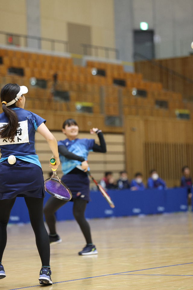 日本リーグ入替戦