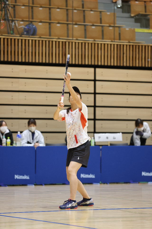 日本リーグ入替戦