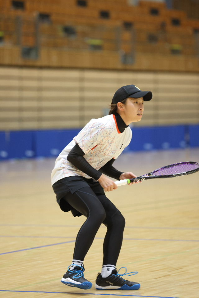 日本リーグ入替戦