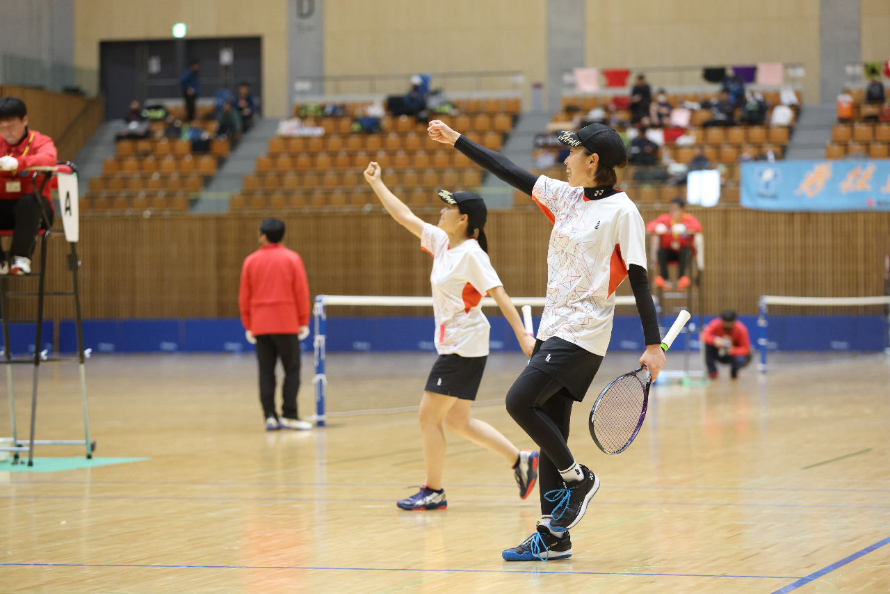 日本リーグ入替戦