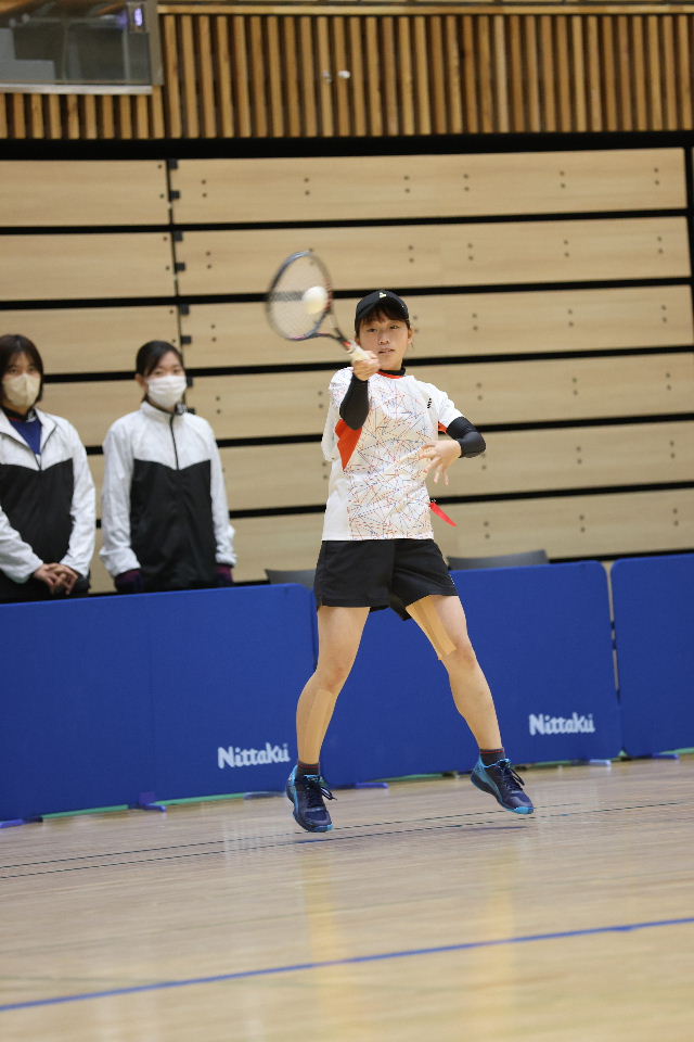 日本リーグ入替戦