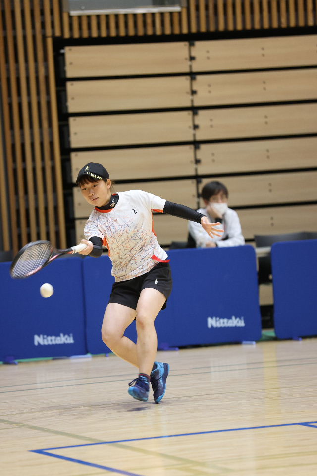 日本リーグ入替戦