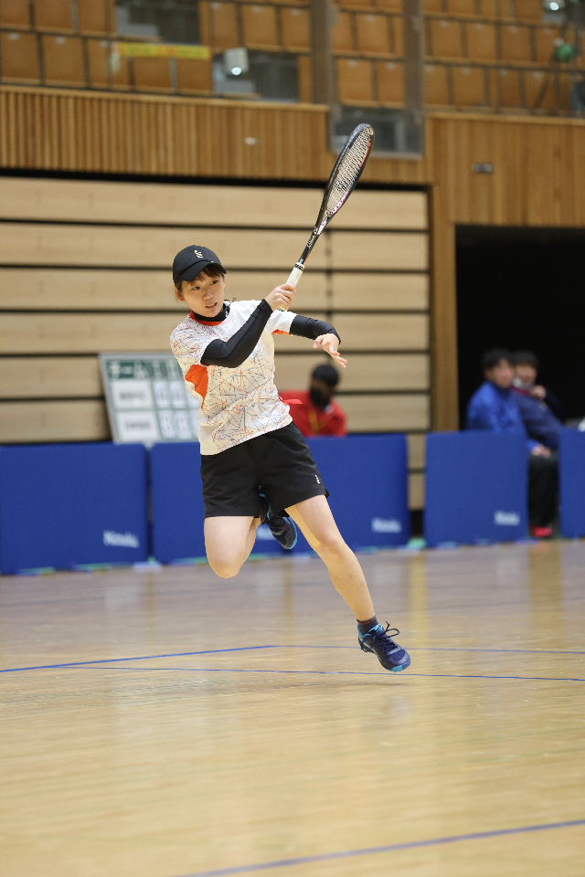 日本リーグ入替戦