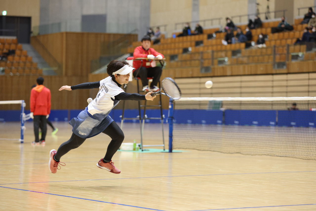 日本リーグ入替戦