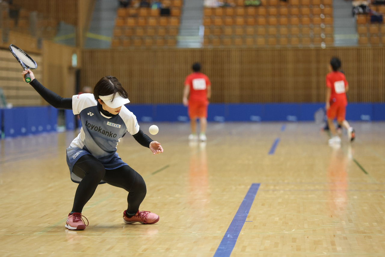 日本リーグ入替戦